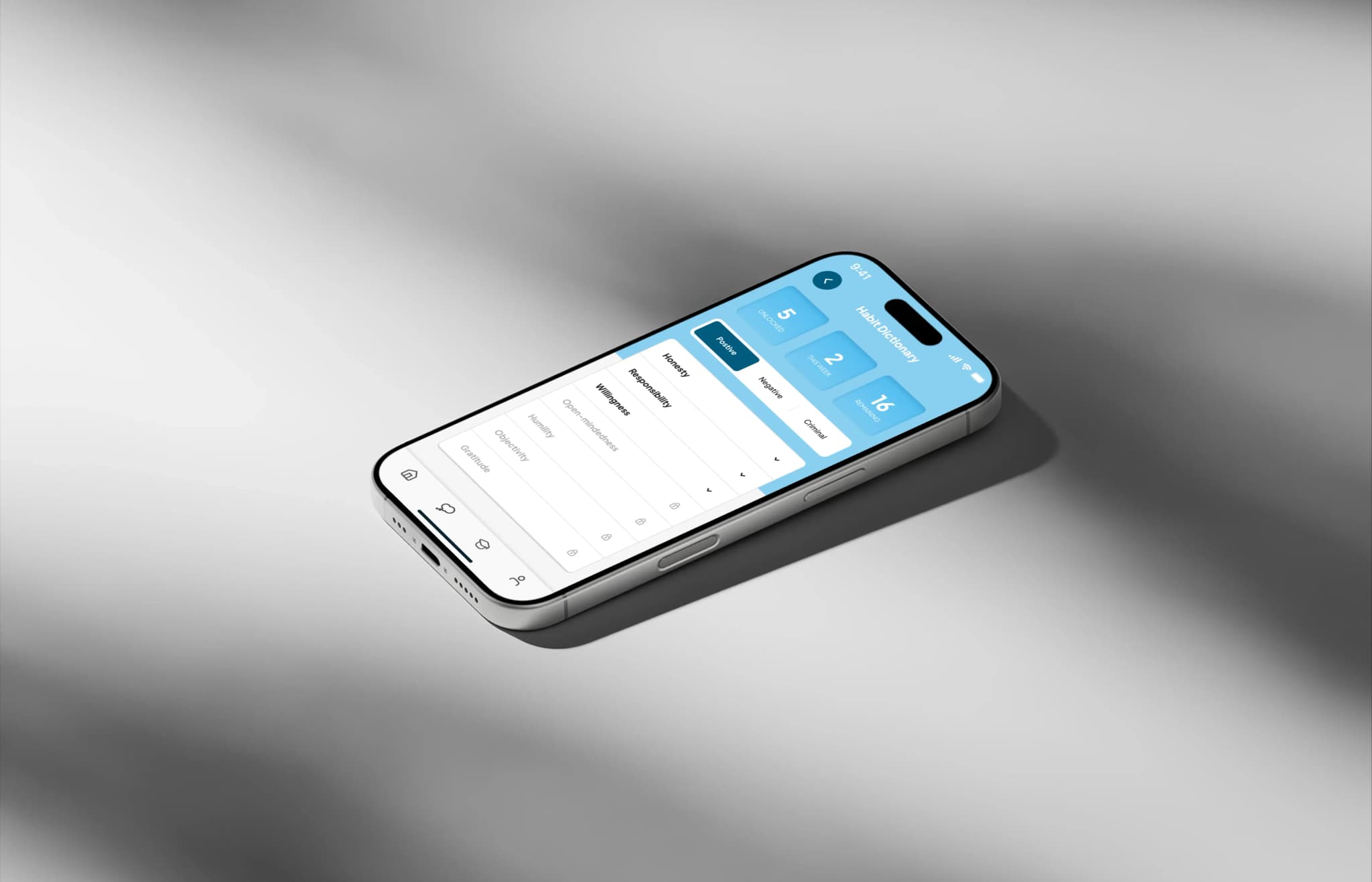 About the Project