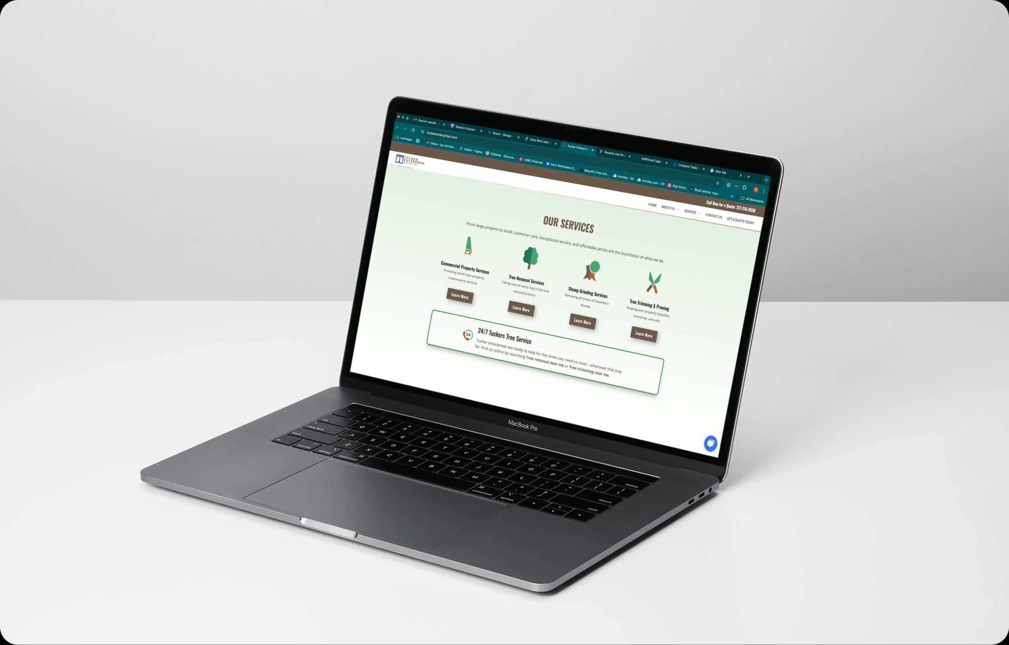 About the Project